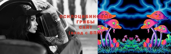 apvp Новокубанск