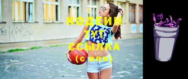молекула духа Новозыбков