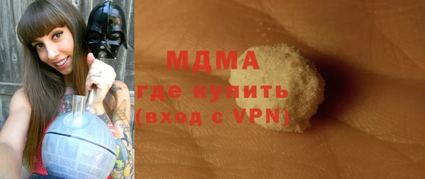молекула духа Новозыбков