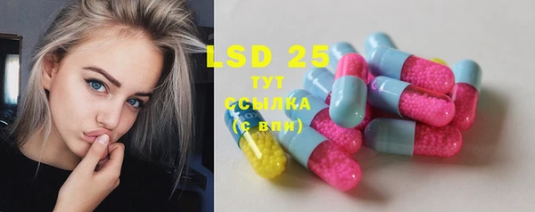 молекула духа Новозыбков