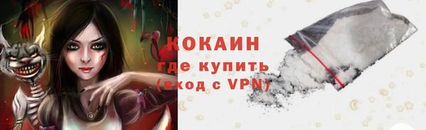 молекула духа Новозыбков