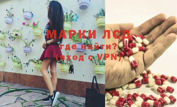молекула духа Новозыбков