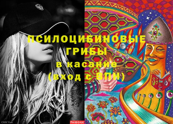 герыч Новодвинск