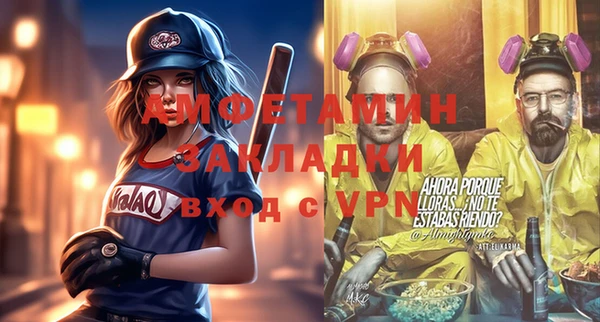 молекула духа Новозыбков