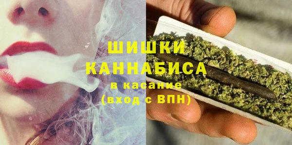 молекула духа Новозыбков