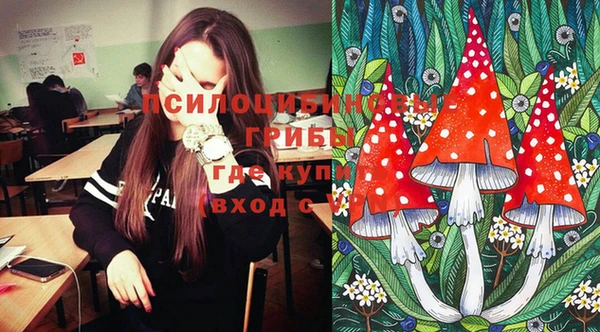 молекула духа Новозыбков
