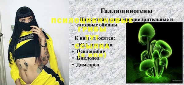 герыч Новодвинск