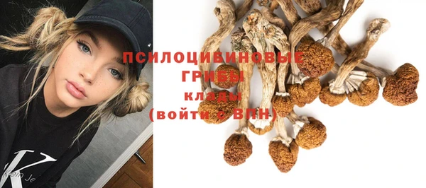 apvp Новокубанск