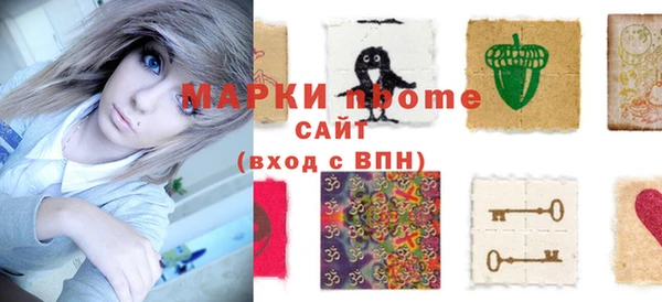 молекула духа Новозыбков