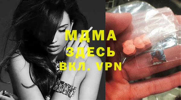 молекула духа Новозыбков