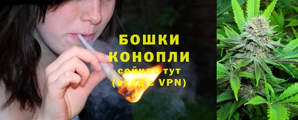 молекула духа Новозыбков