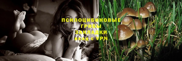 молекула духа Новозыбков
