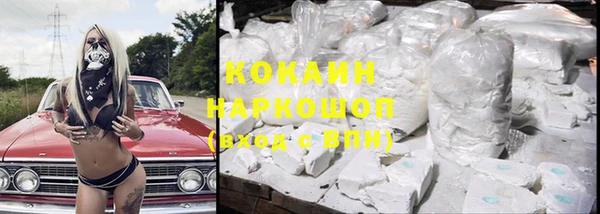 молекула духа Новозыбков