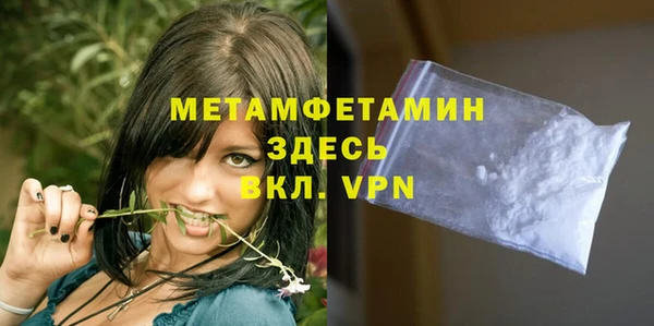молекула духа Новозыбков