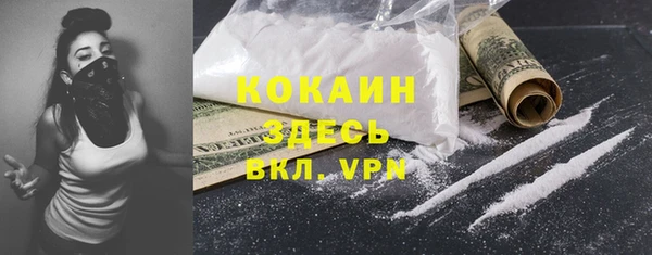 молекула духа Новозыбков